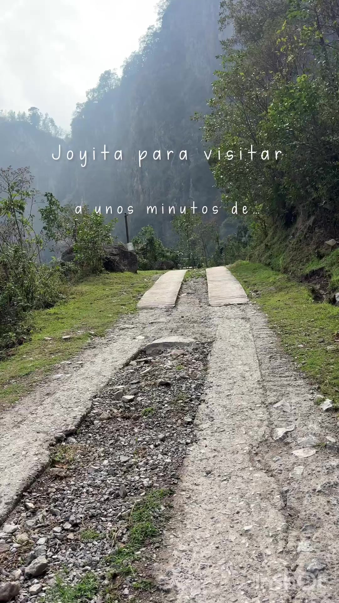 @camadelibros