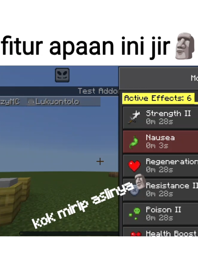 @TheeseCraft12