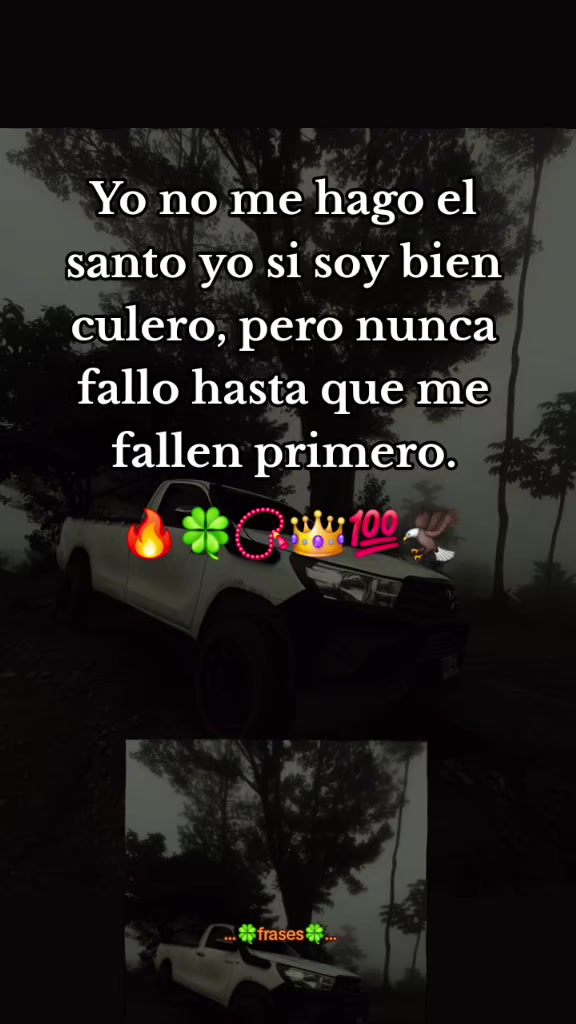 @🍀....frases...🍀