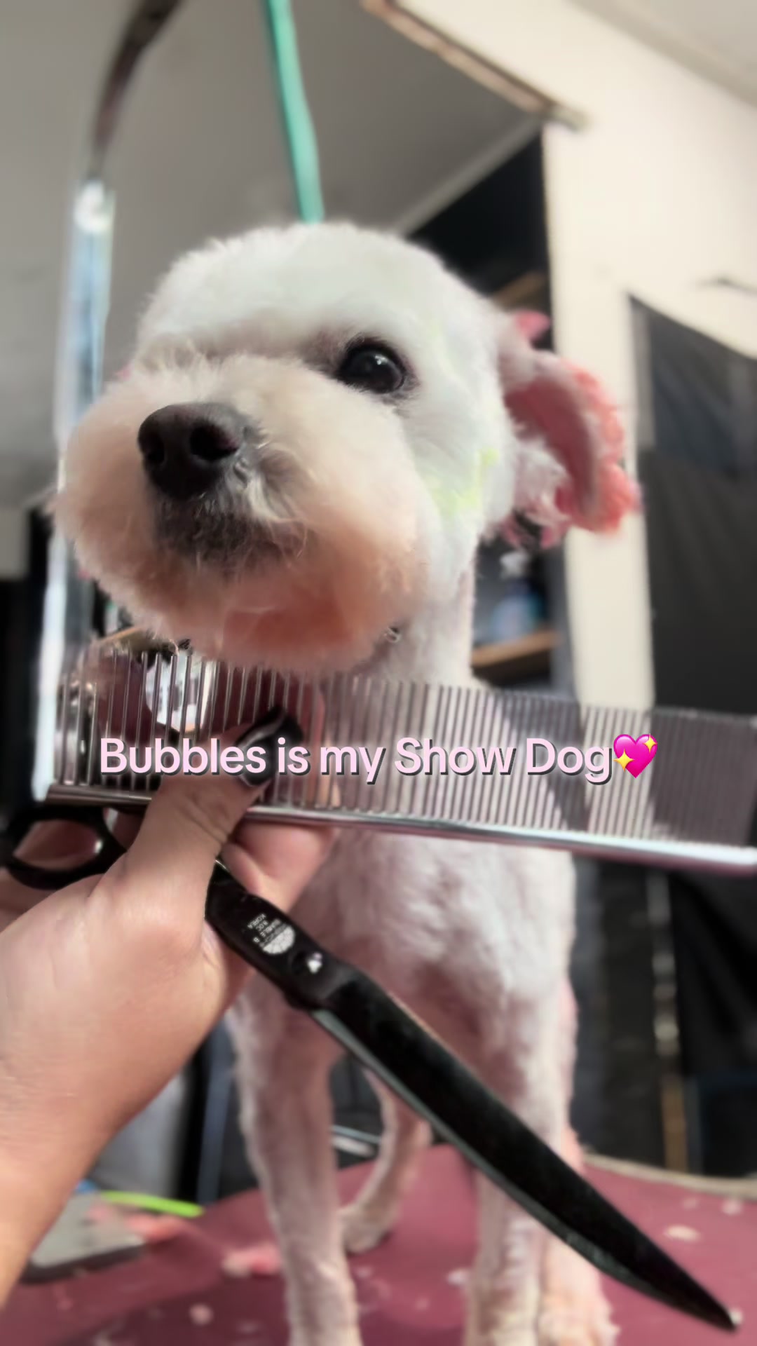 @PRETTY PAWS FURRY SALON🐾💜