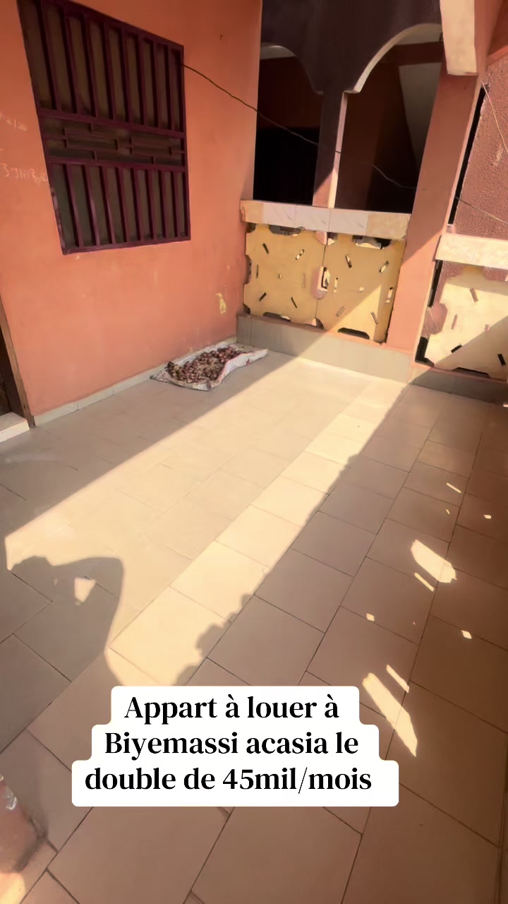 @DINO~IMMO~237🇨🇲🇨🇲