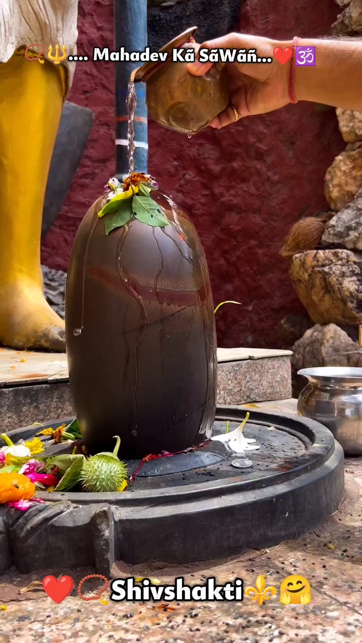 @🕉☘️Sujata❤🌻🦚