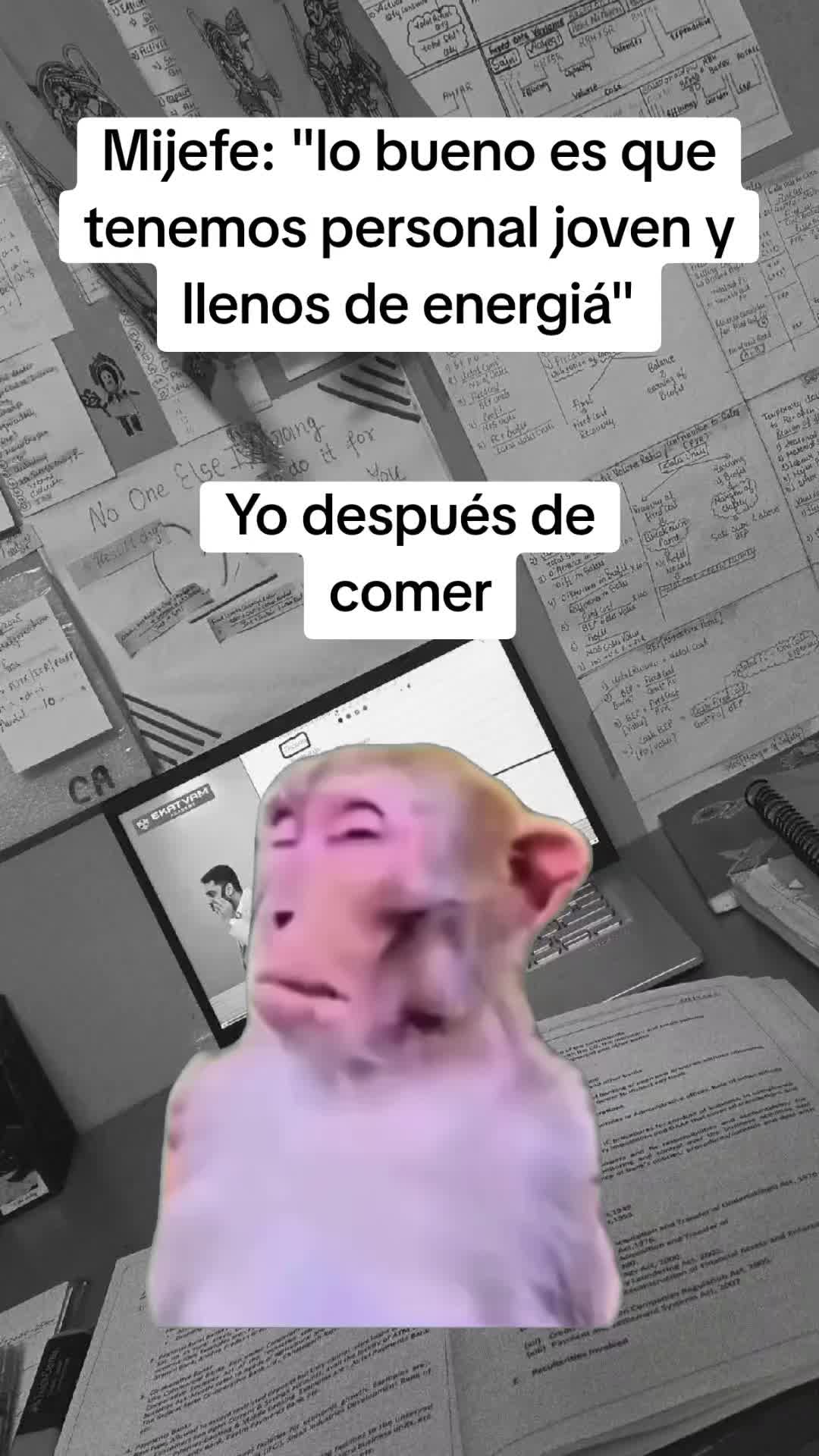 @Luis Carvajal240