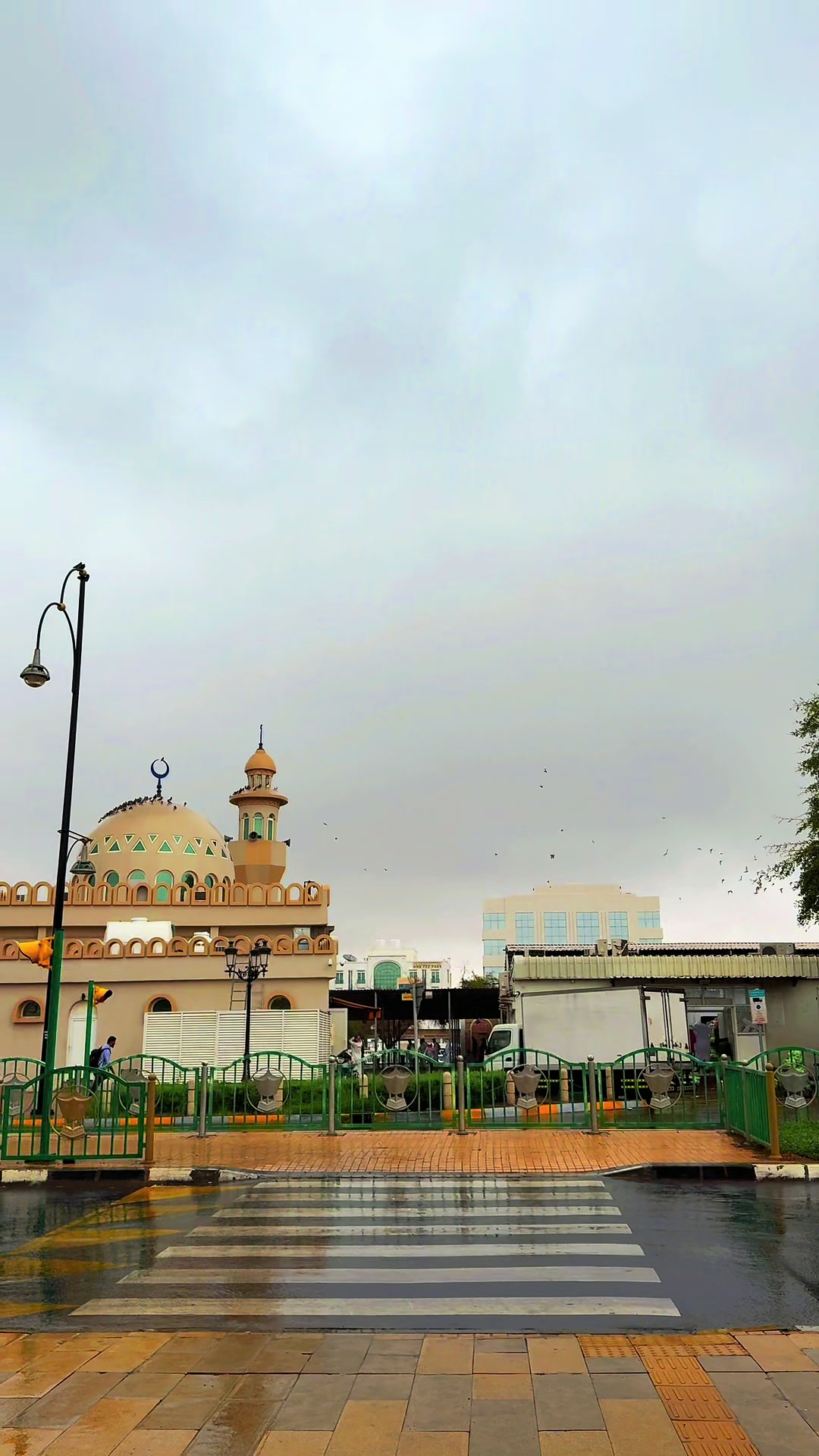 @Discover Al Ain 🏝️