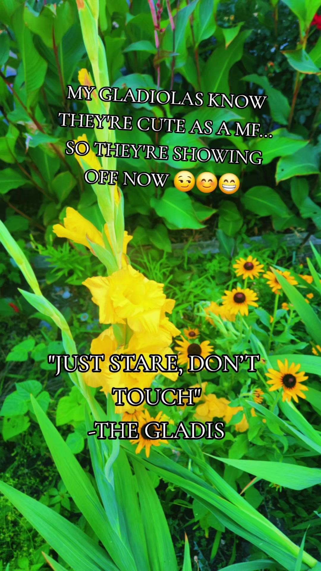 @theGreatestTam