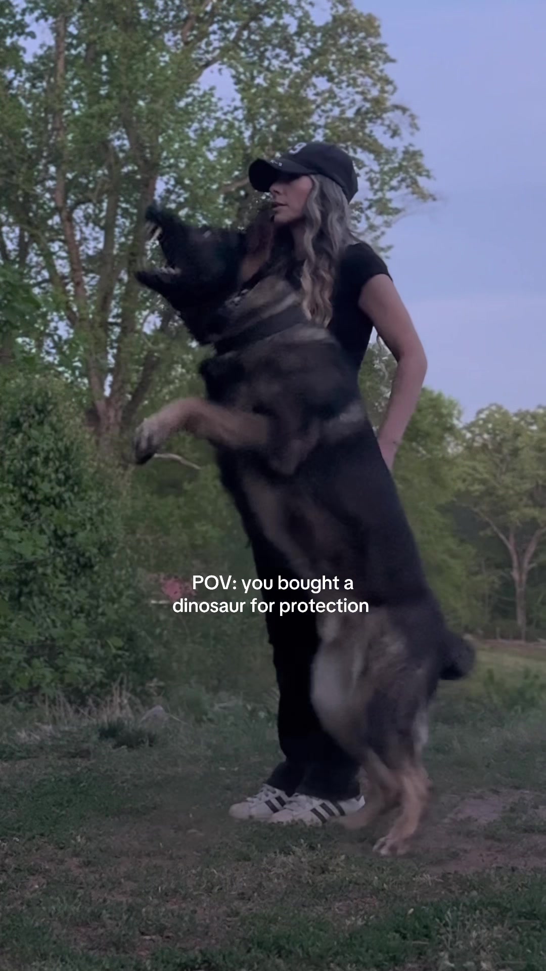 @True Guard K9 I Tara