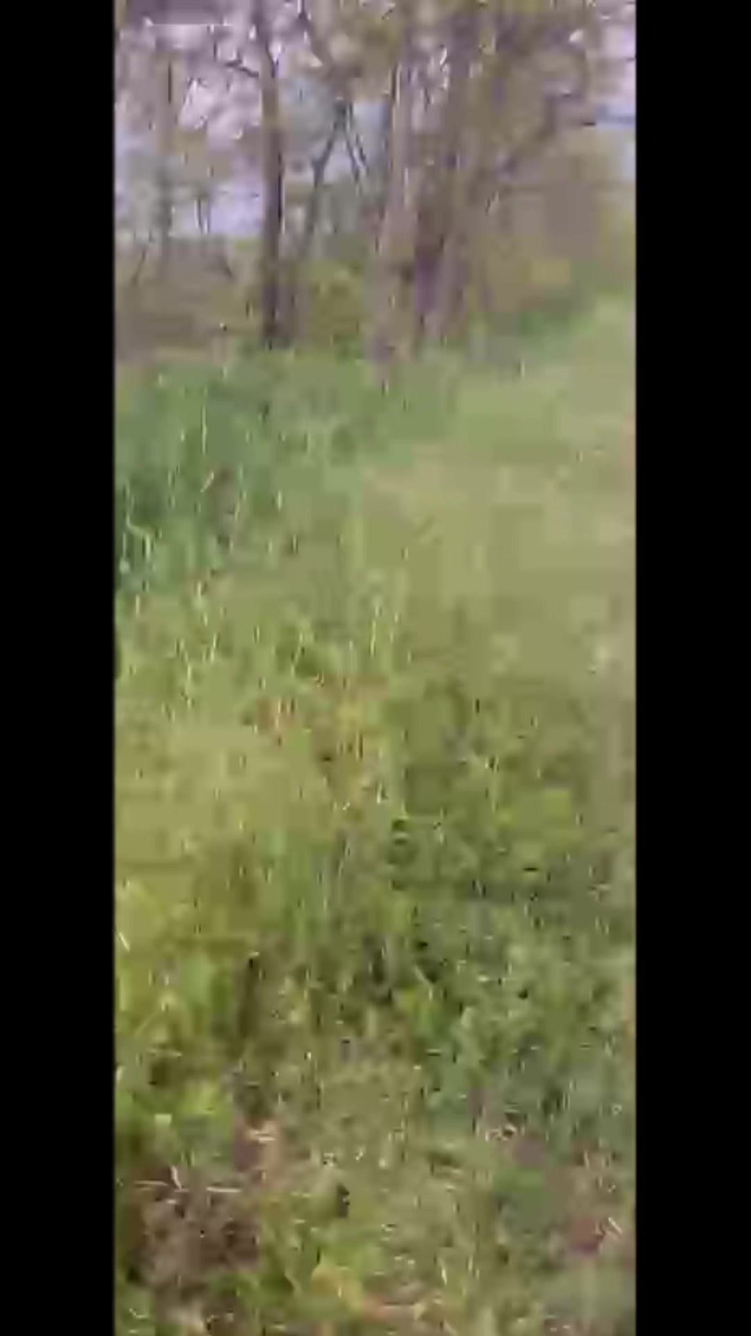 @🇺🇦Яник🇺🇦