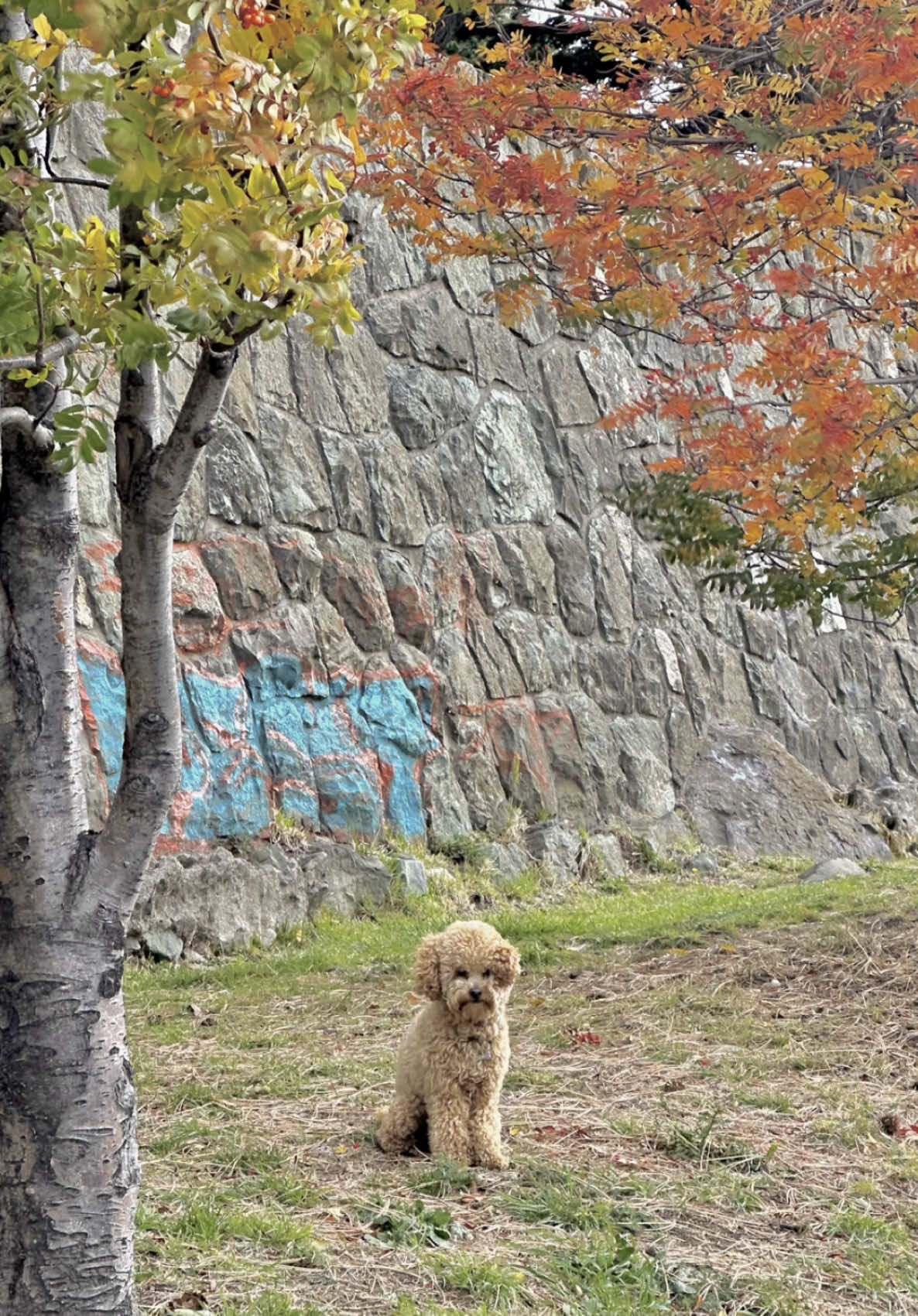 @💋
