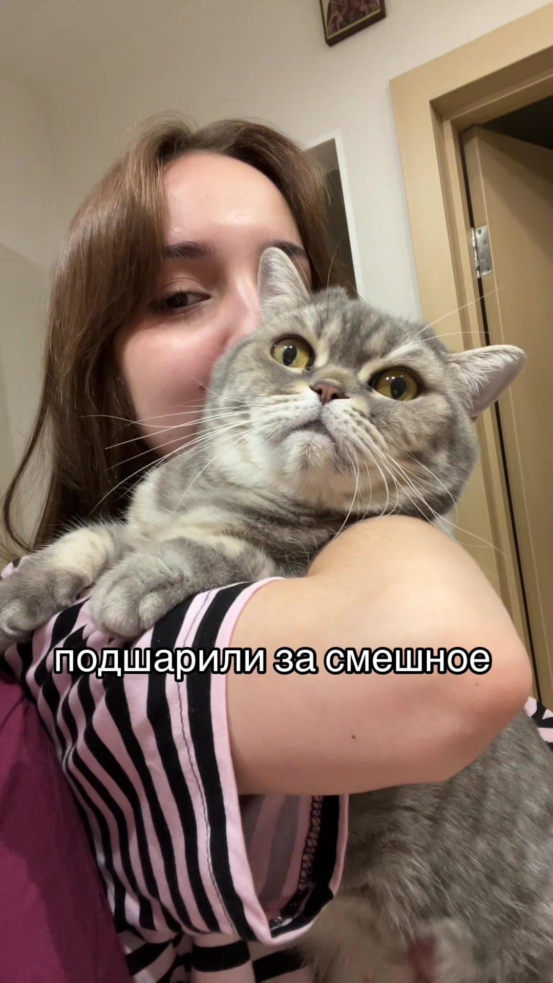@tg: shchenokk