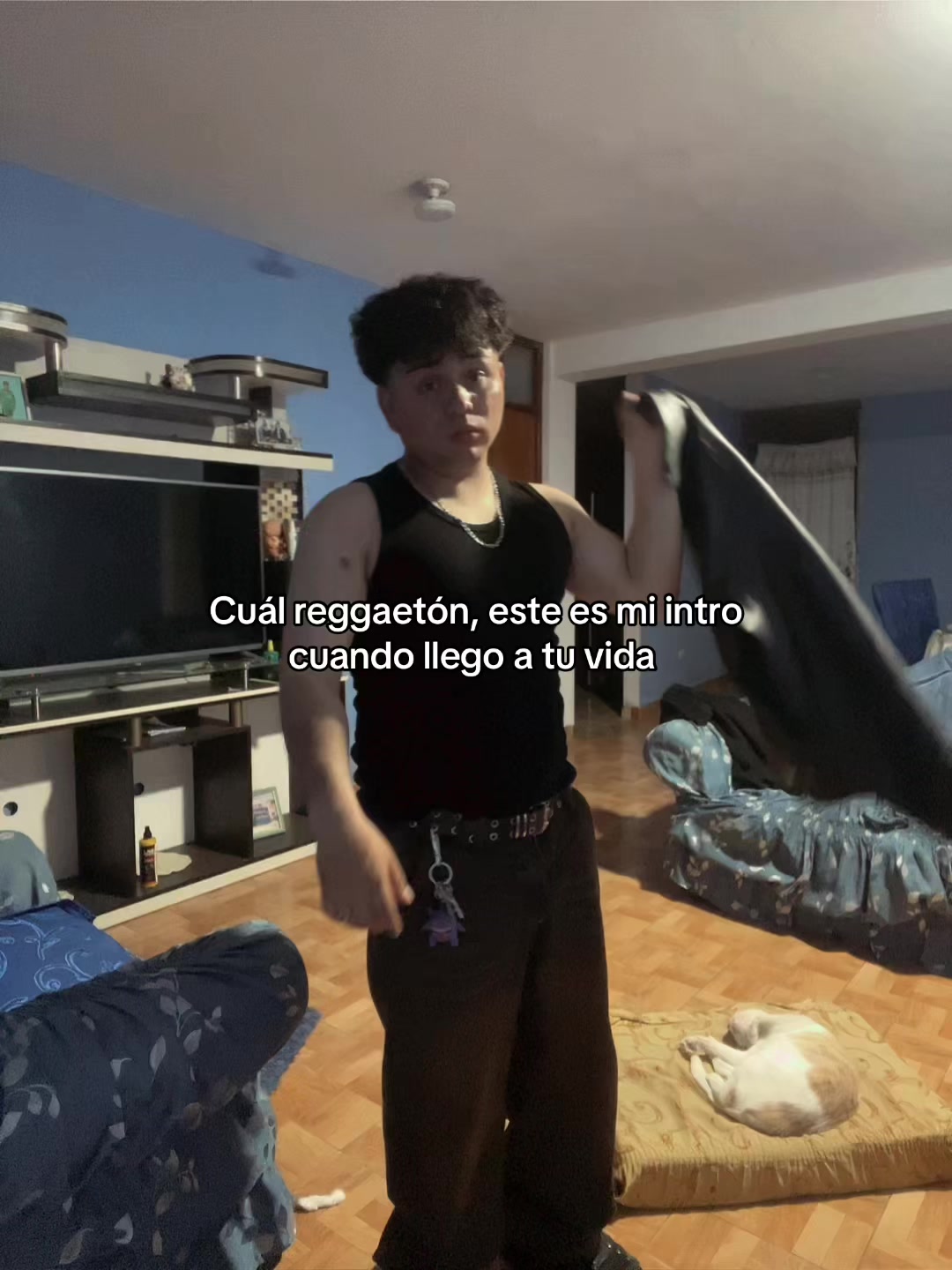 @Trillo 🕷️