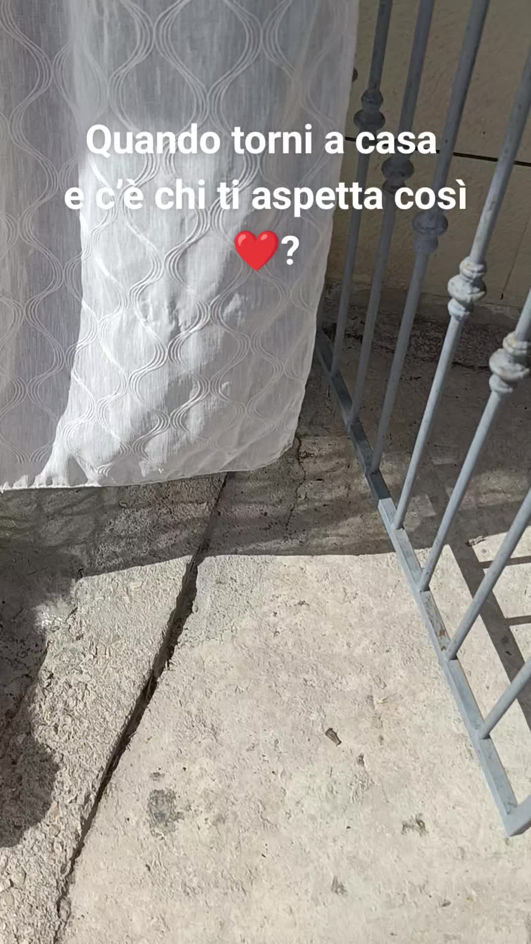@AnnaPia Mazzariello