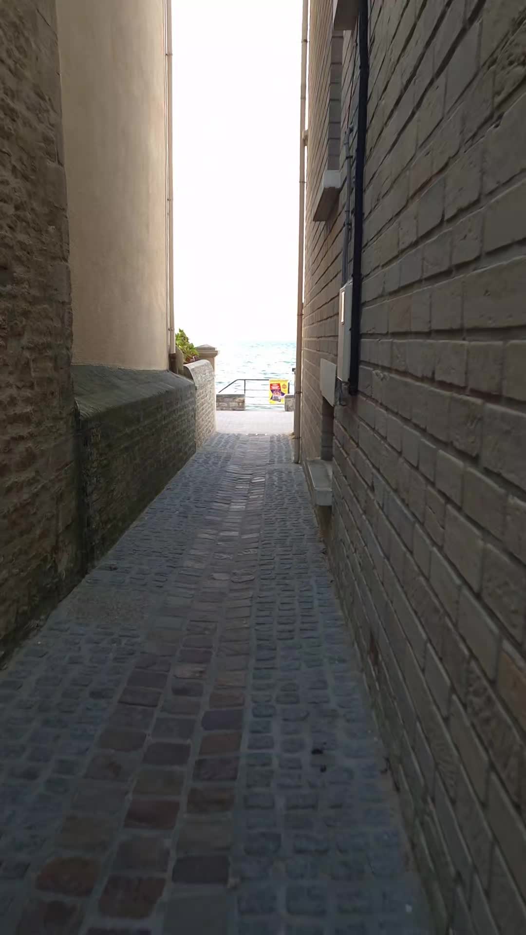 @Maranka