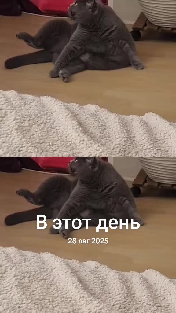 @Alena Sokolova