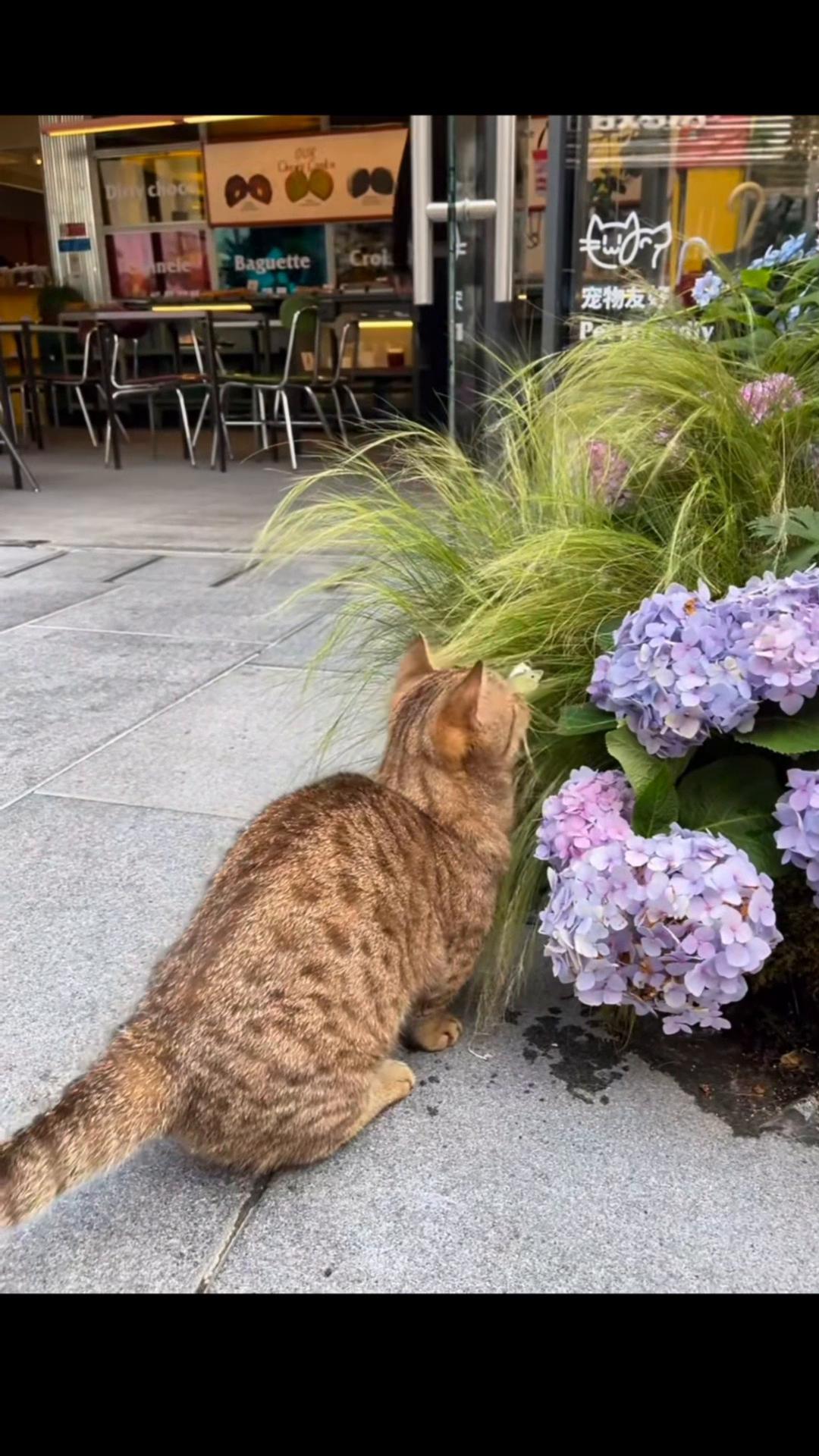 @My Daily Dose of Aww