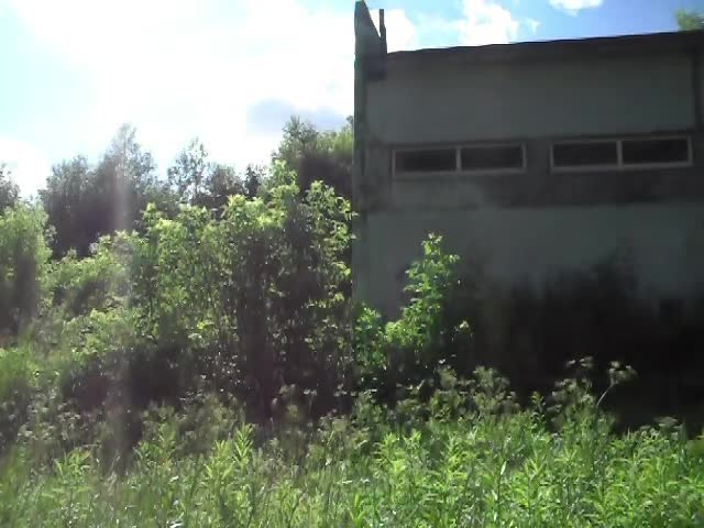 @Туманная поляна