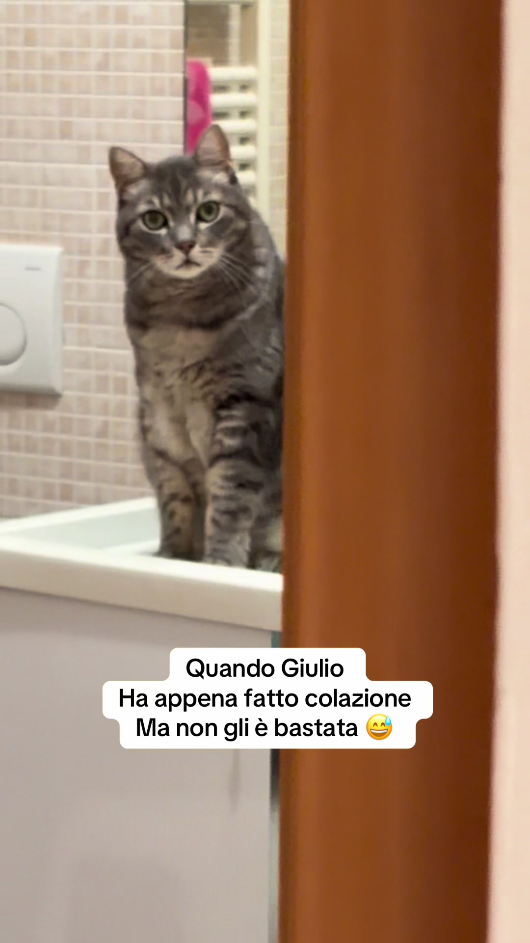 @Mariolover and friends