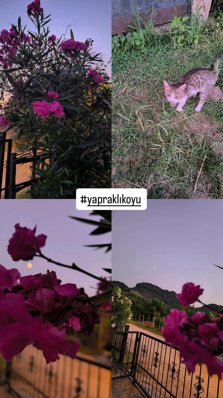 @2cocukannesi