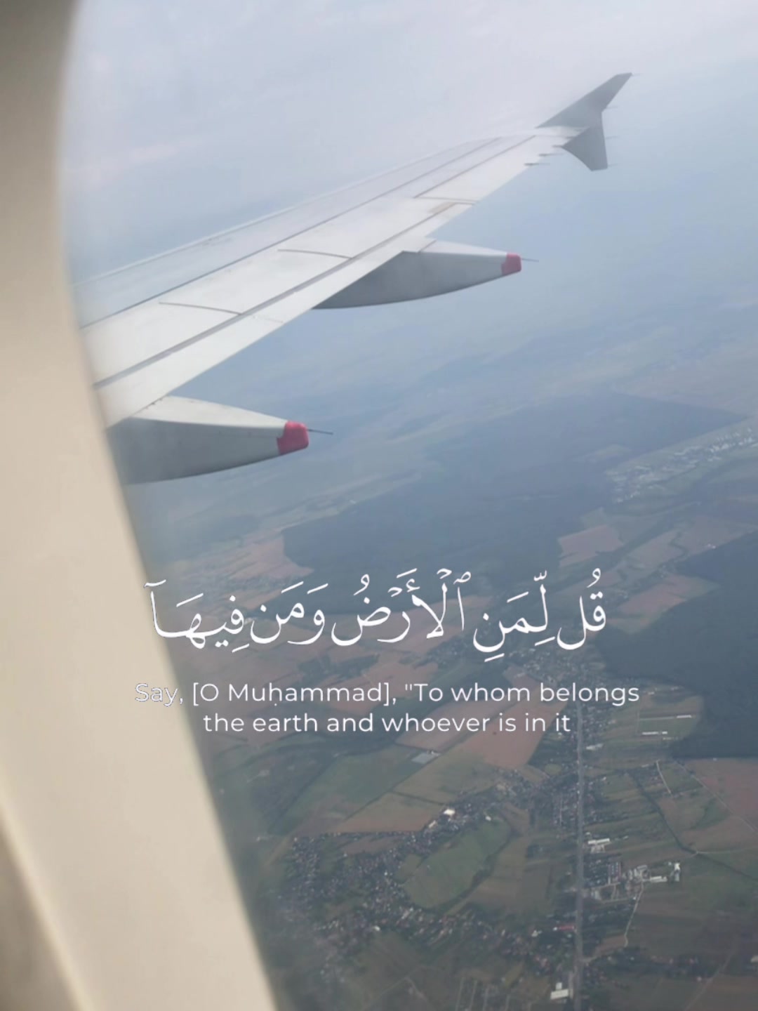 @فلسطيني وافتخر
