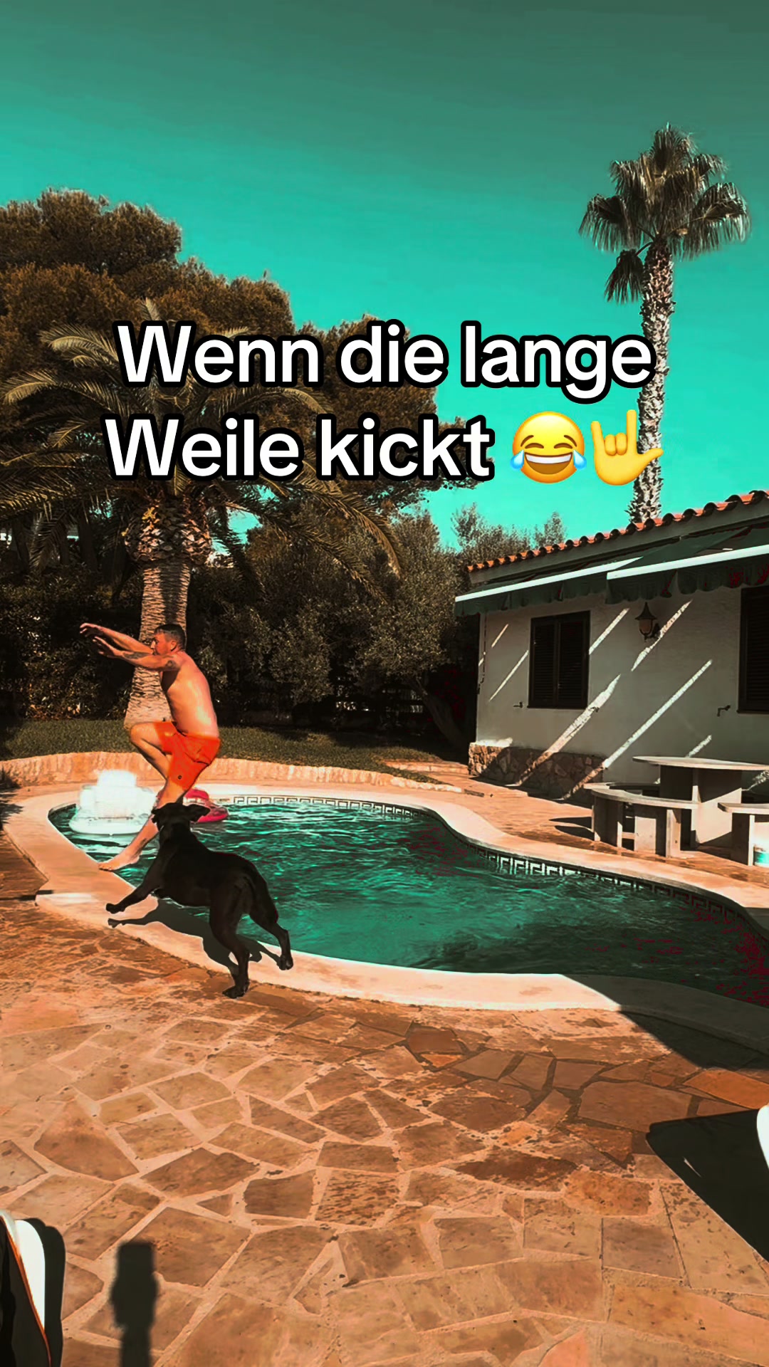 @MountainRush