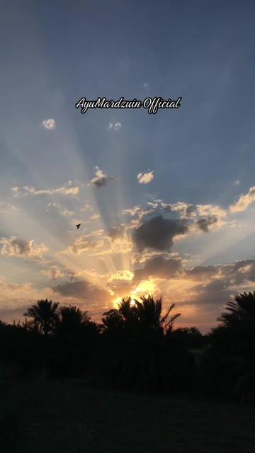 @ايو مردزوين مت راتين