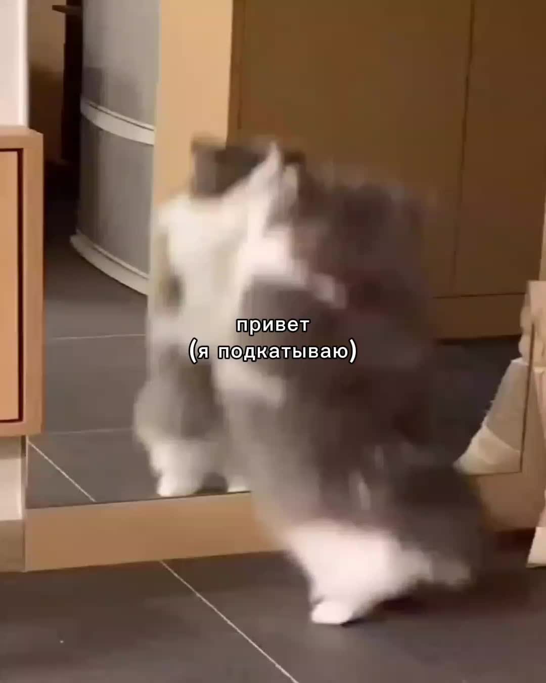 @ꜰᴇɴʏᴀ@