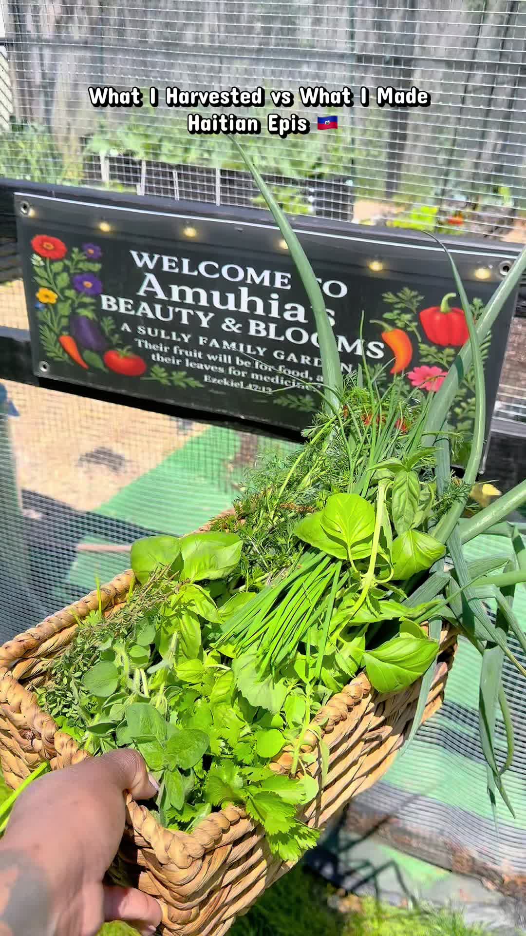 @Amuhia|Beauty in Blooms Garden