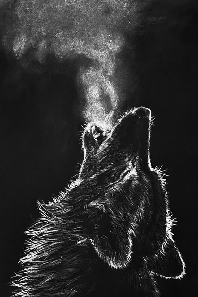 @Samotny Wilk 🐺🐦🔥♈