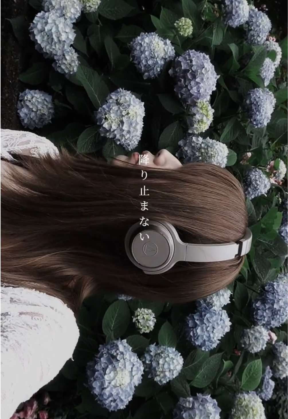 @52Hzのクジラ