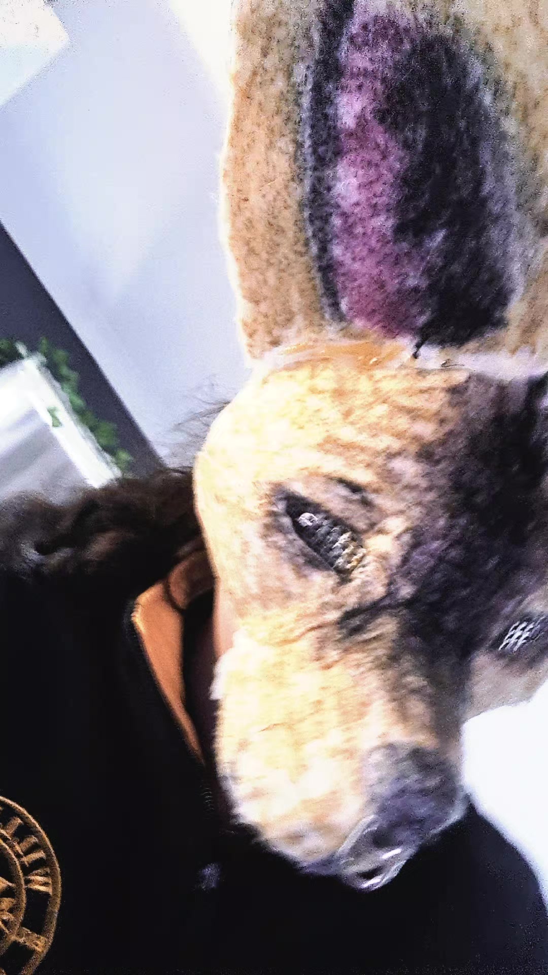 @🧿🐾nyx_on_paws🐾🧿