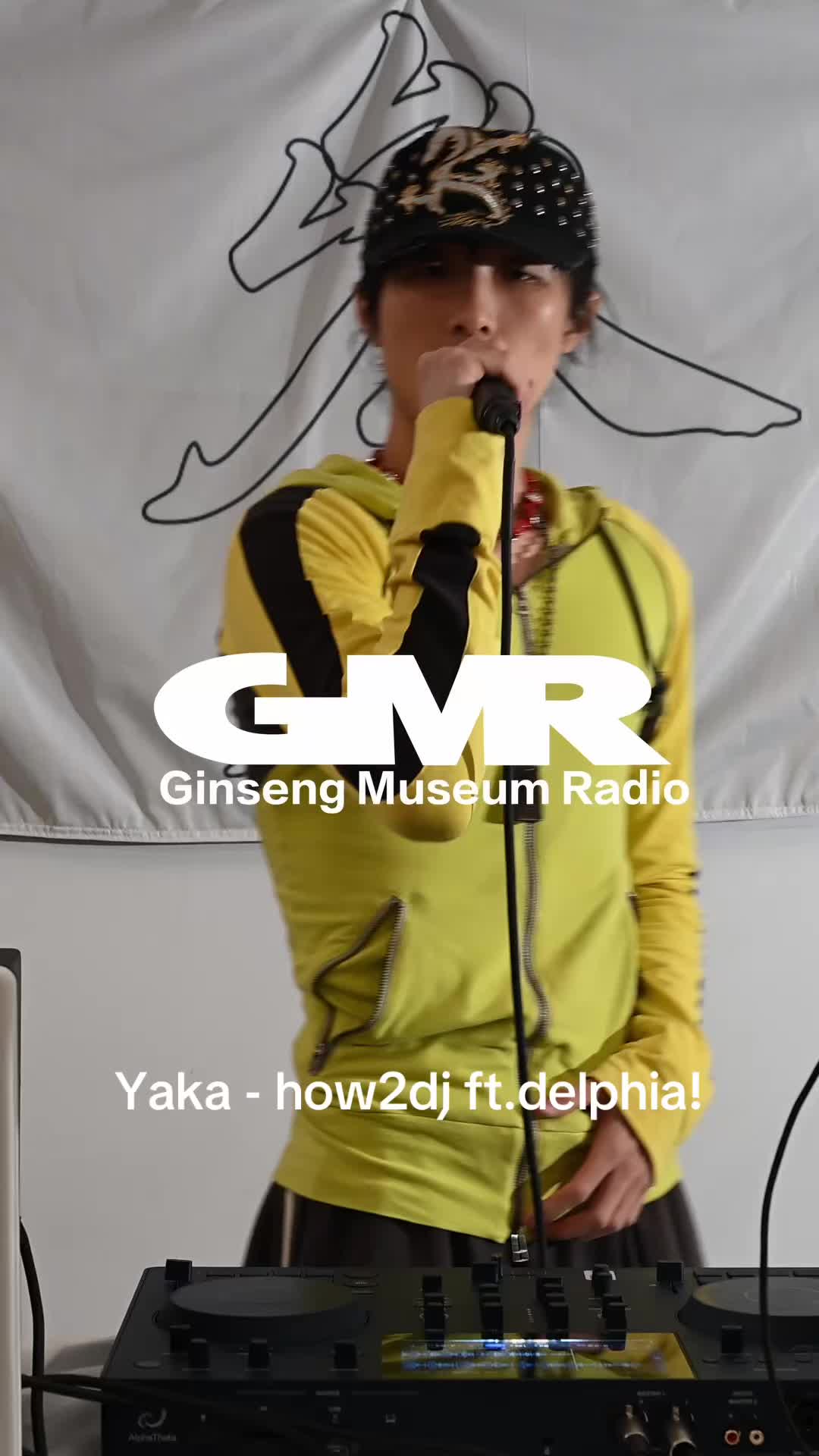 @Ginseng Museum