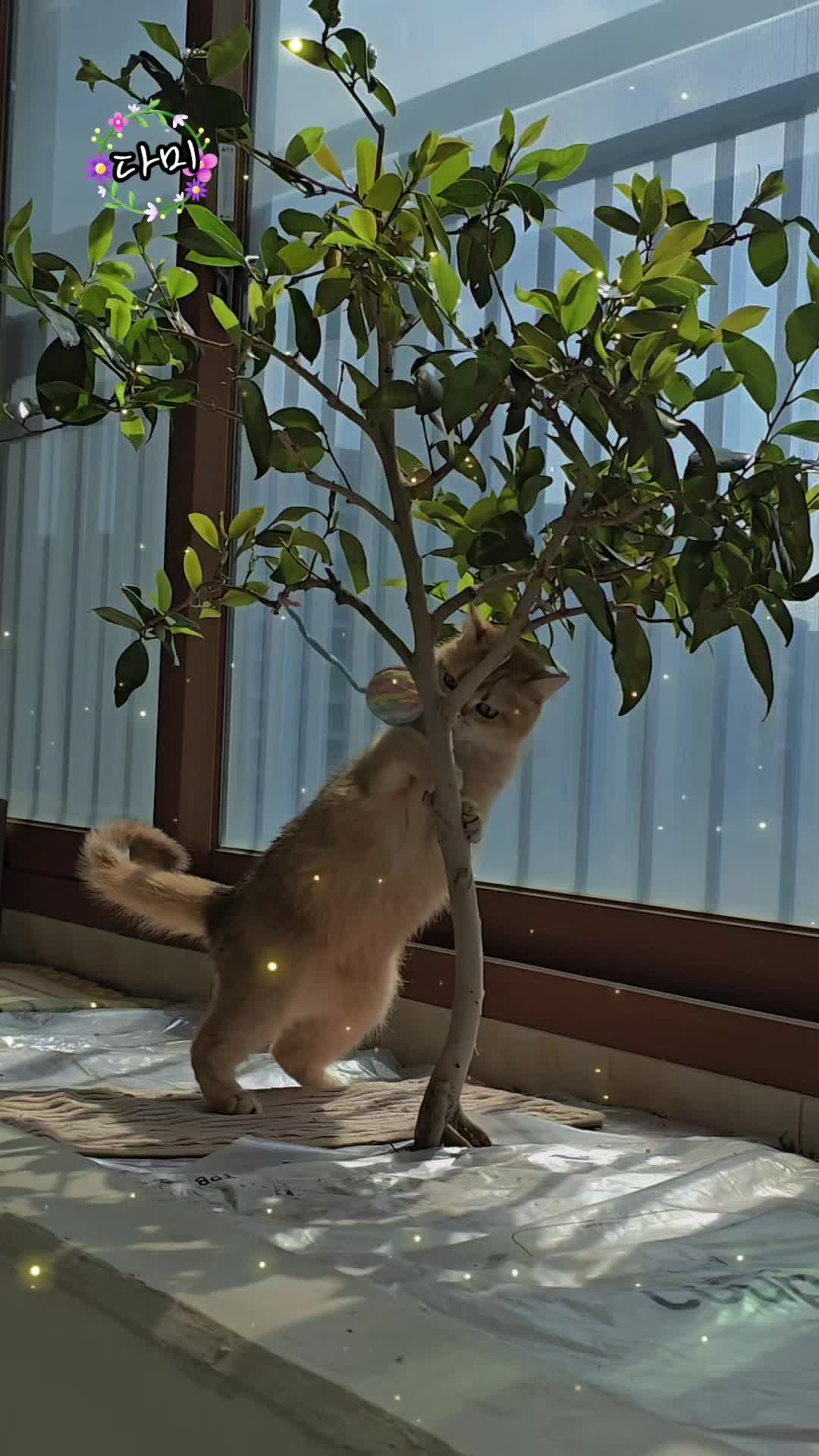 @올마인드