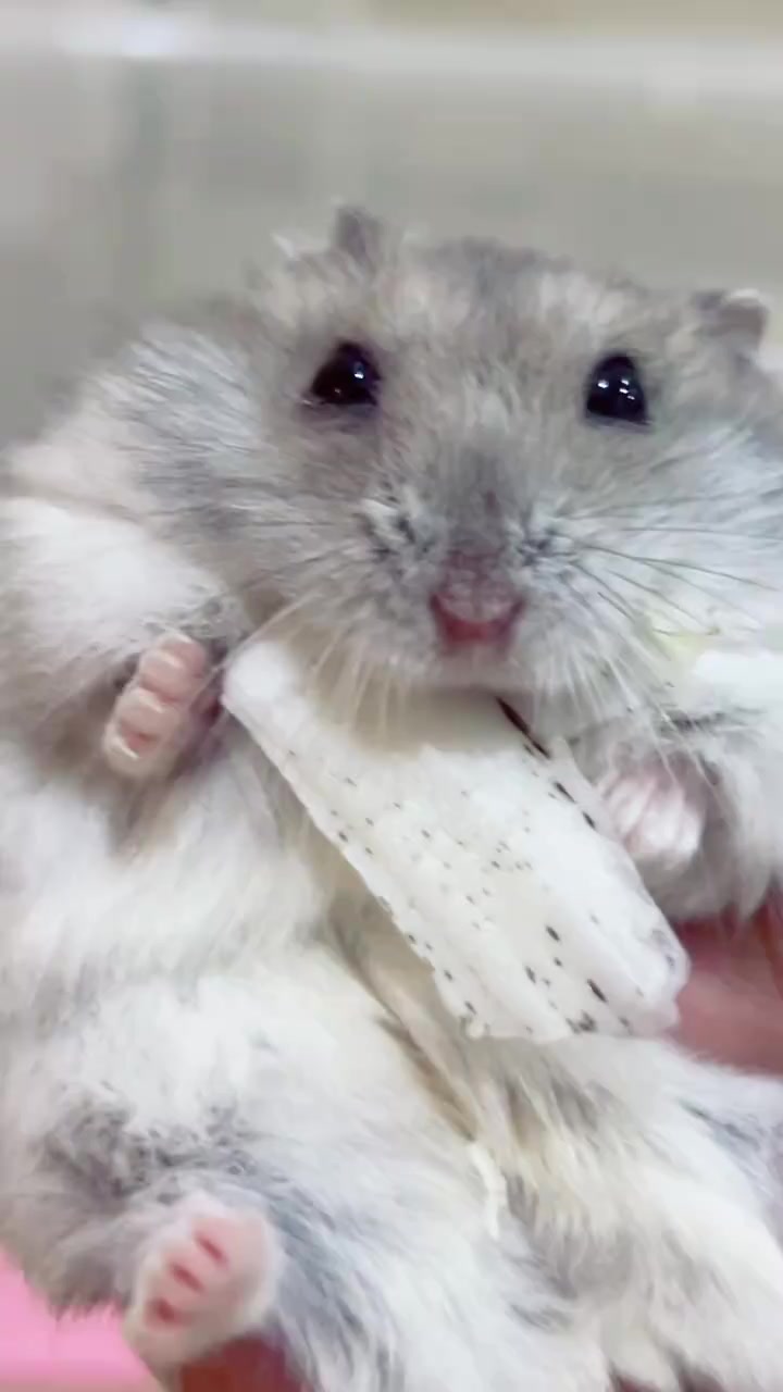 @๐๐๐๐โจ
