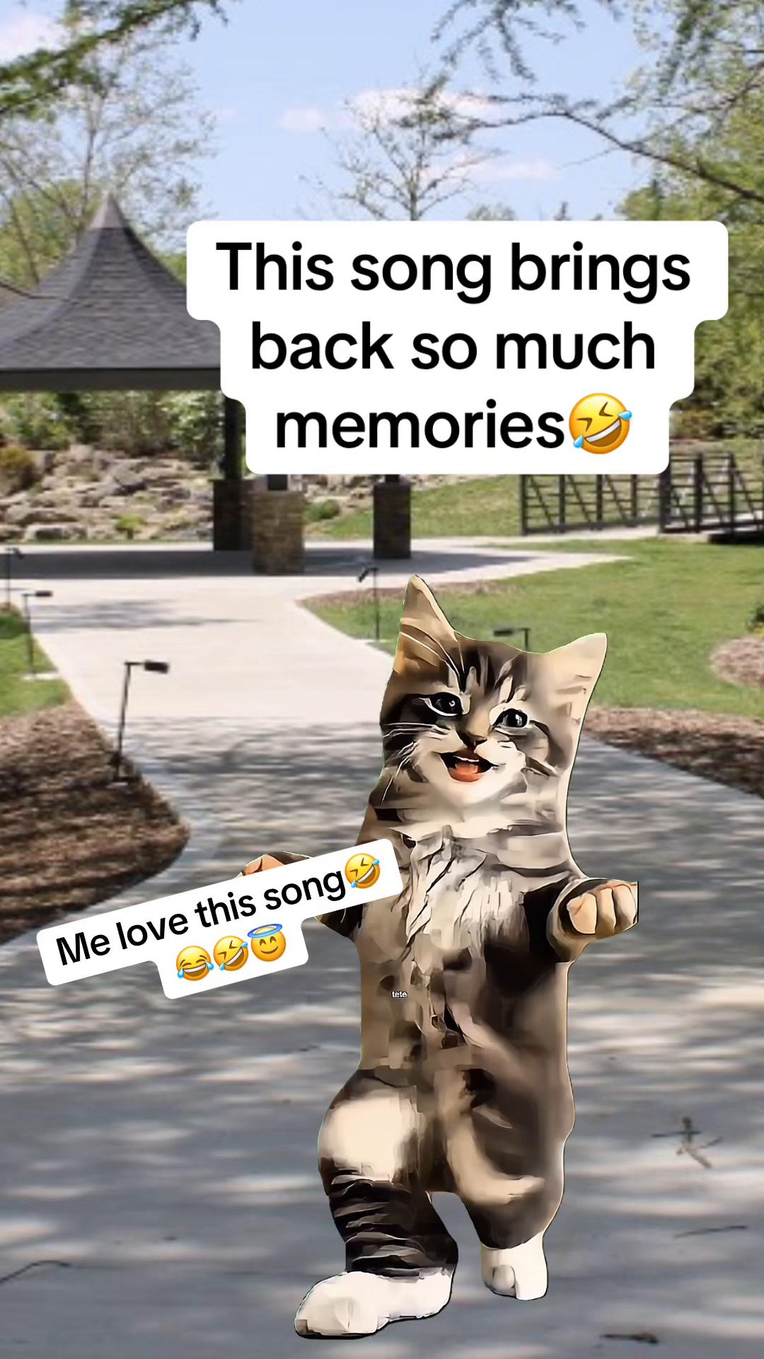 @Ann🪸 sweetie🔥🌹🪸