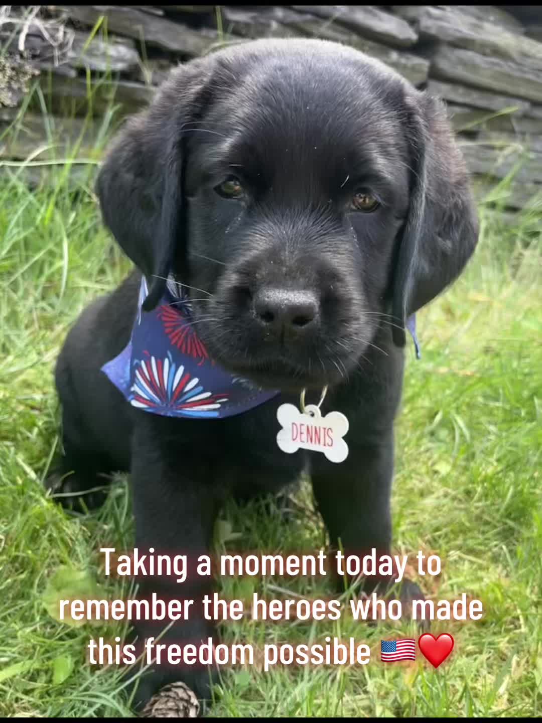 @DennisTheBlackLab