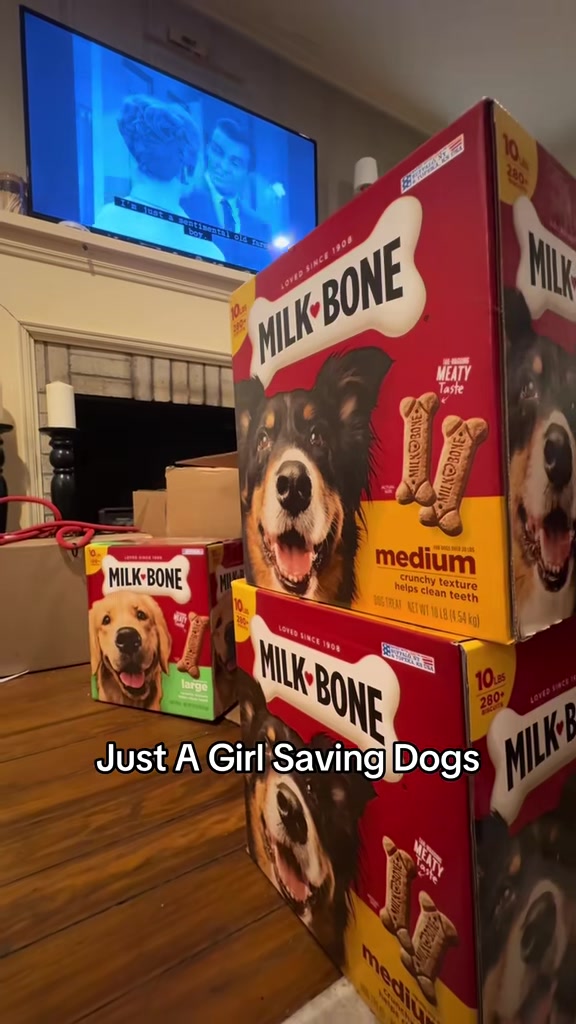 @Just A Girl Saving Dogs