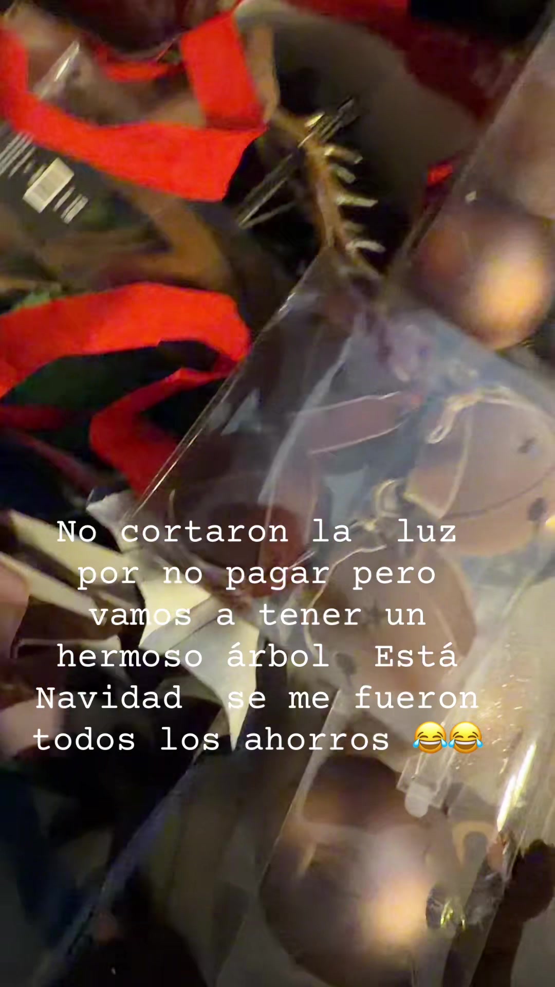 @Team Lia 🌈