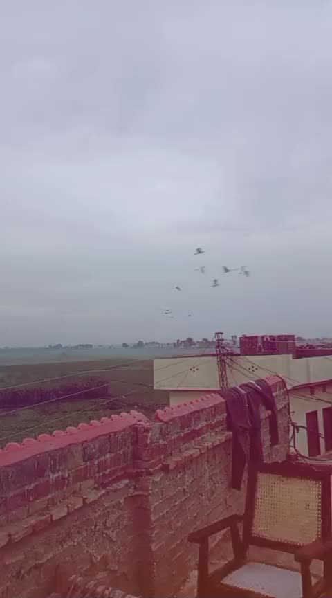 @Rana Ramzan Rajput 🥰😍