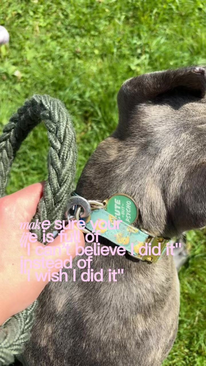 @clobearirl