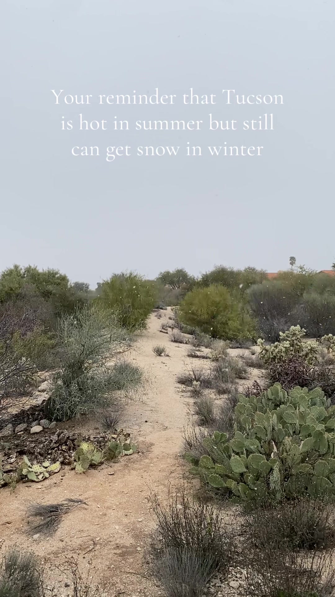 @keliisa🌵✈️