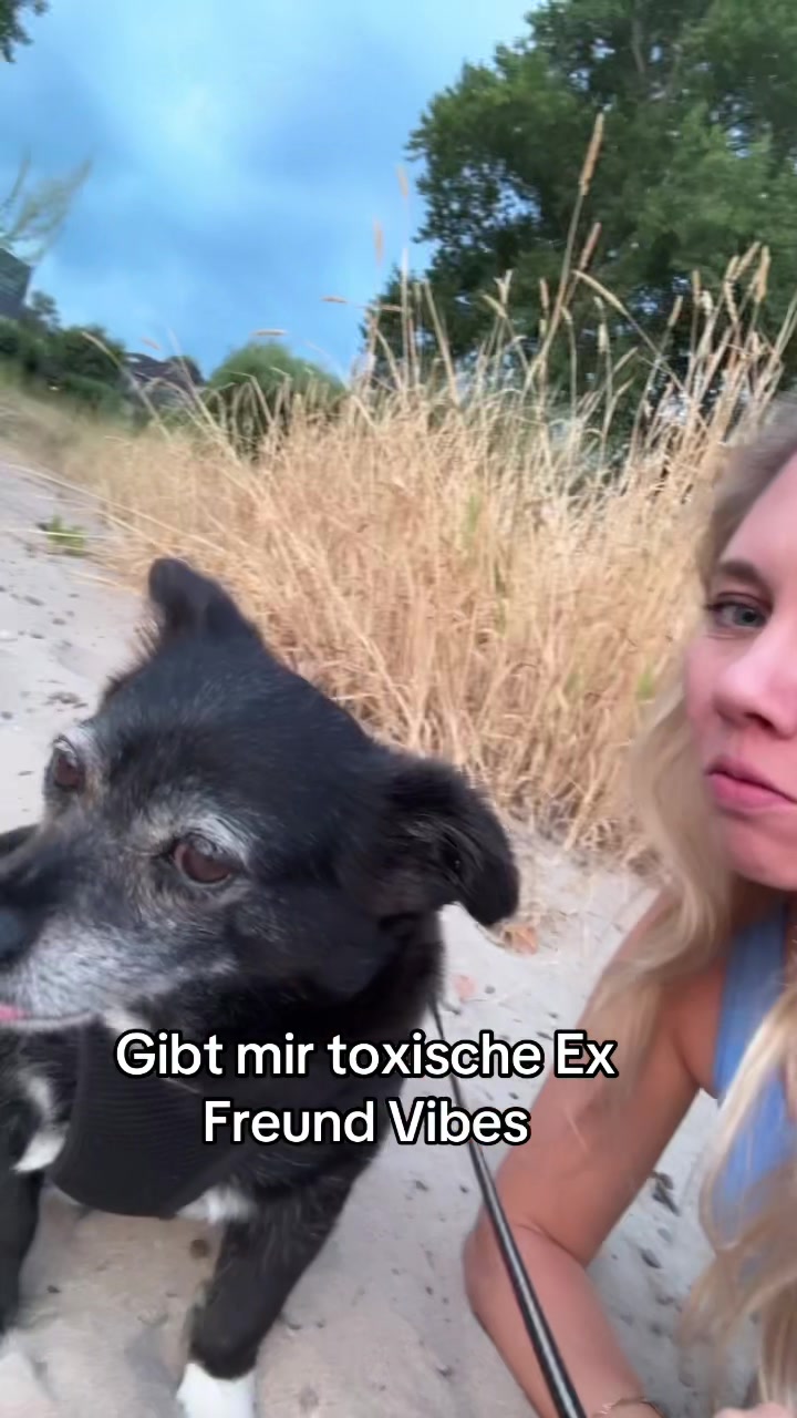 @Jessi Faust