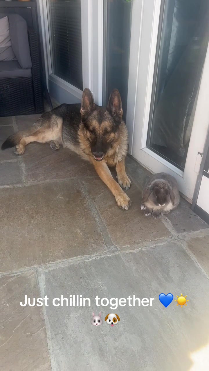 @Sash🐾💙and Mel