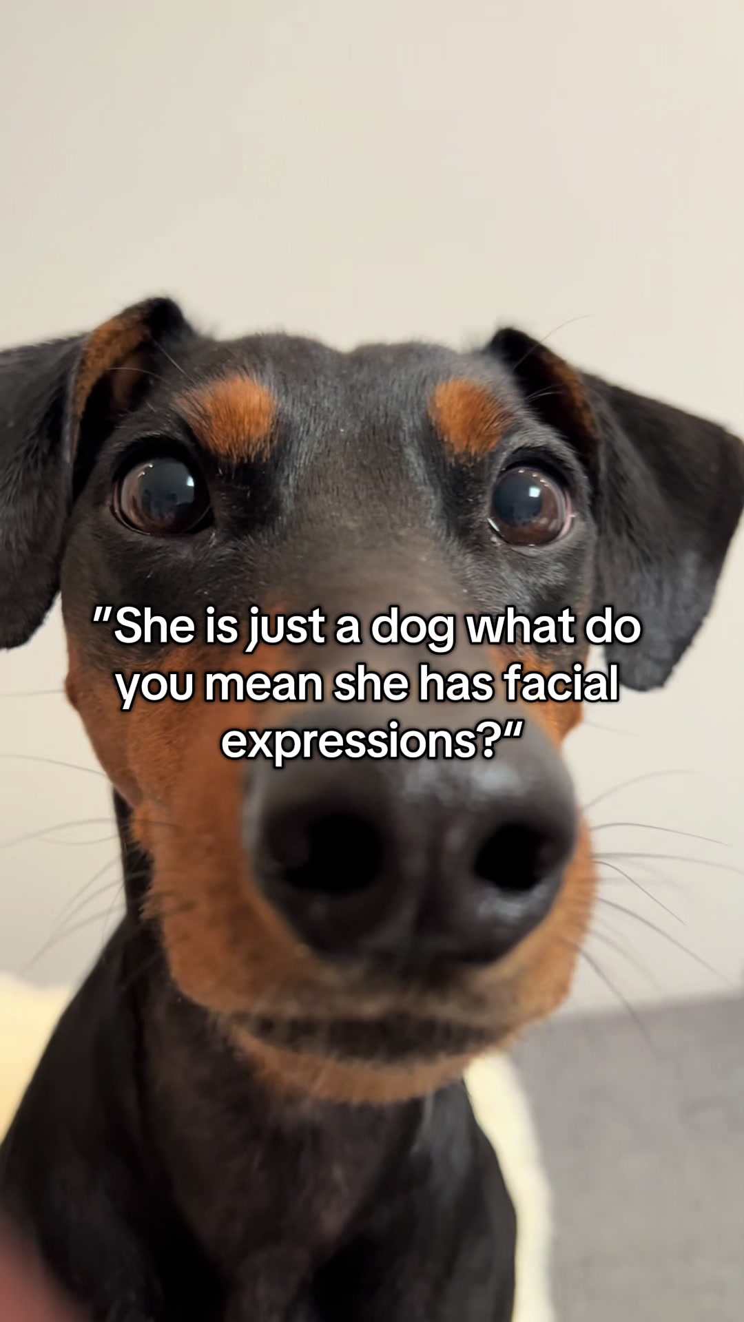 @AlvaTheHotDog