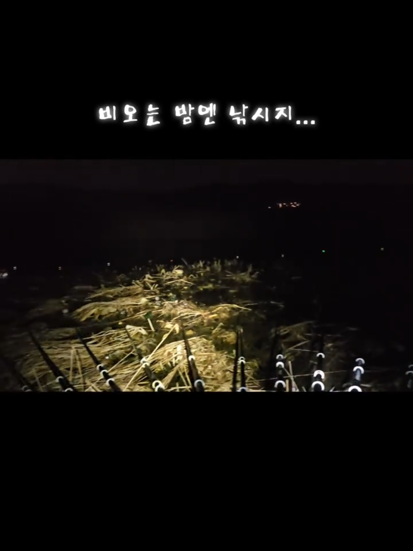 @갑비