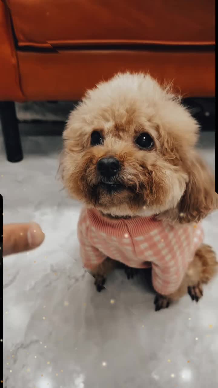 @livelovescoobert