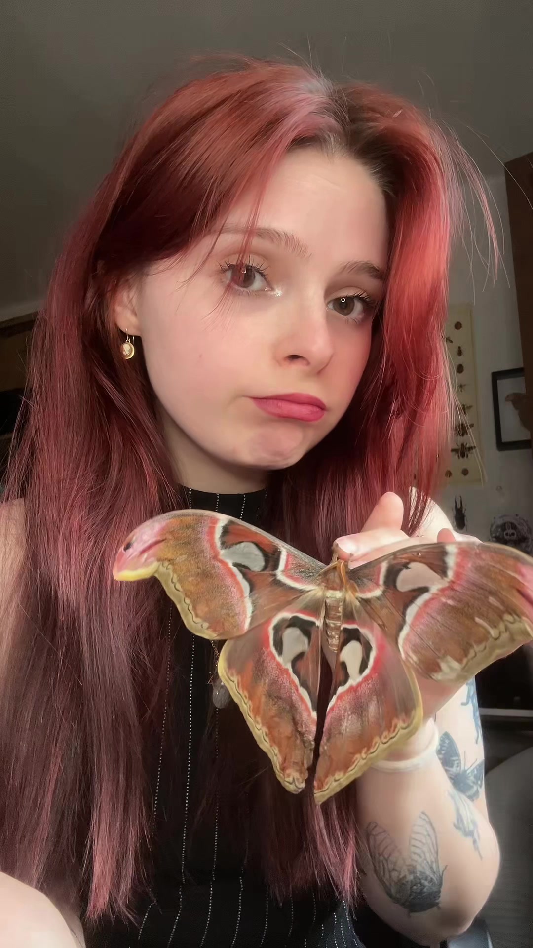 @Am🪲🎀