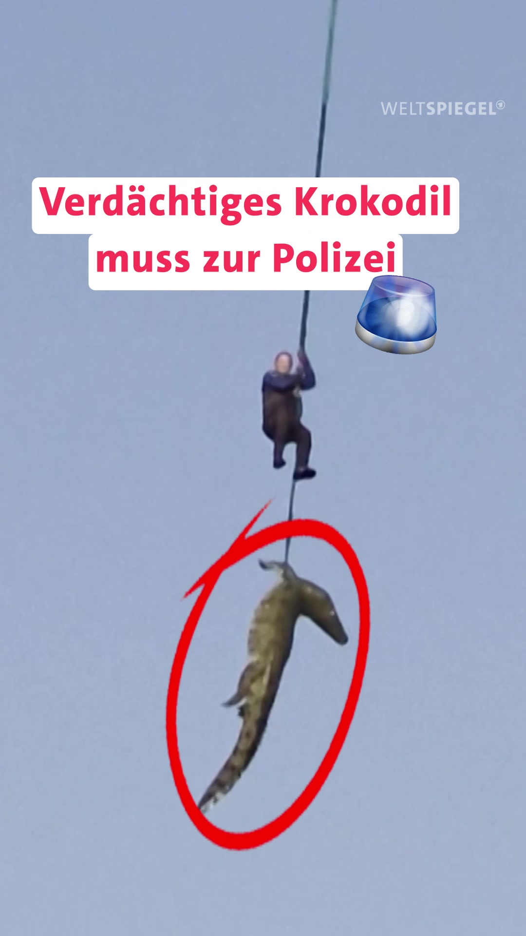 @weltspiegel