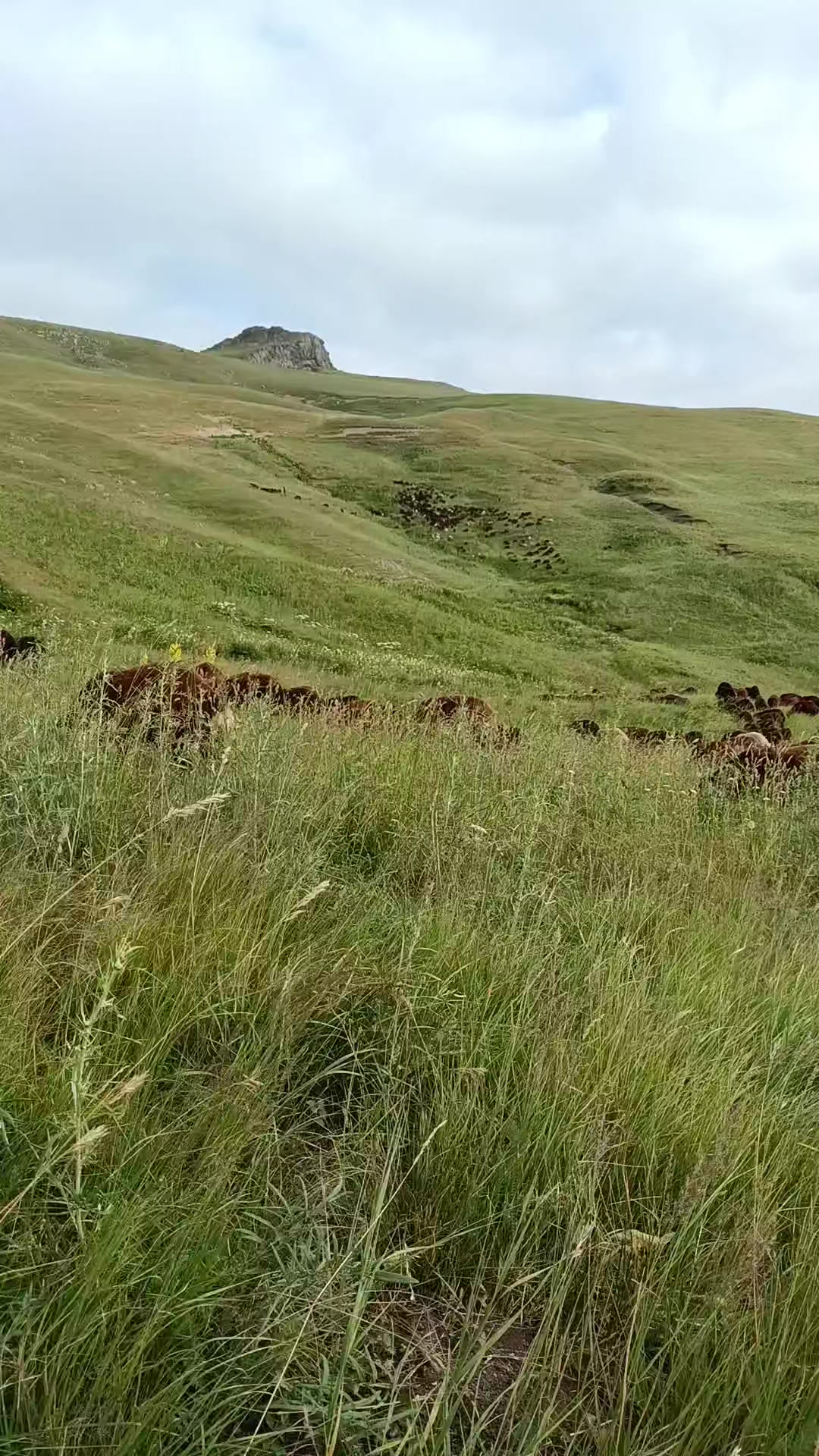 @eyyüp. beki. 🥀🥀🥀🥀