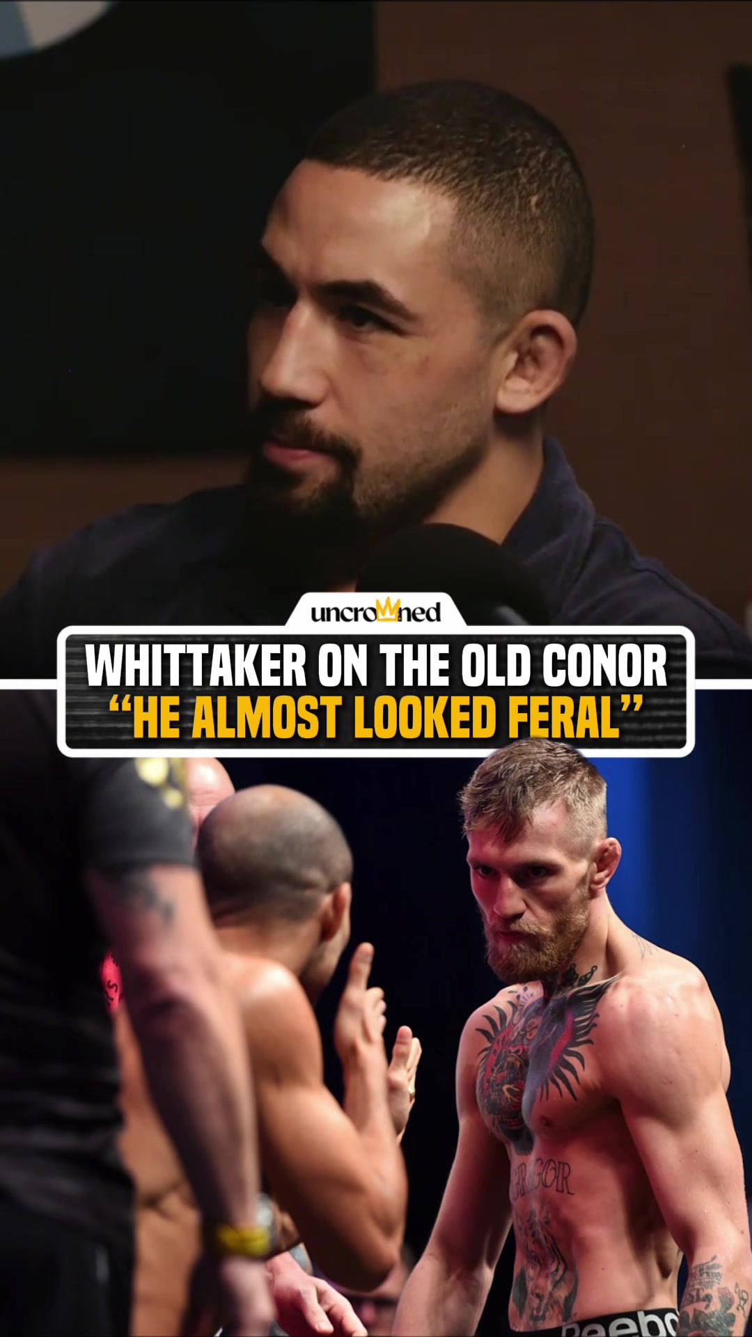 @arielhelwani