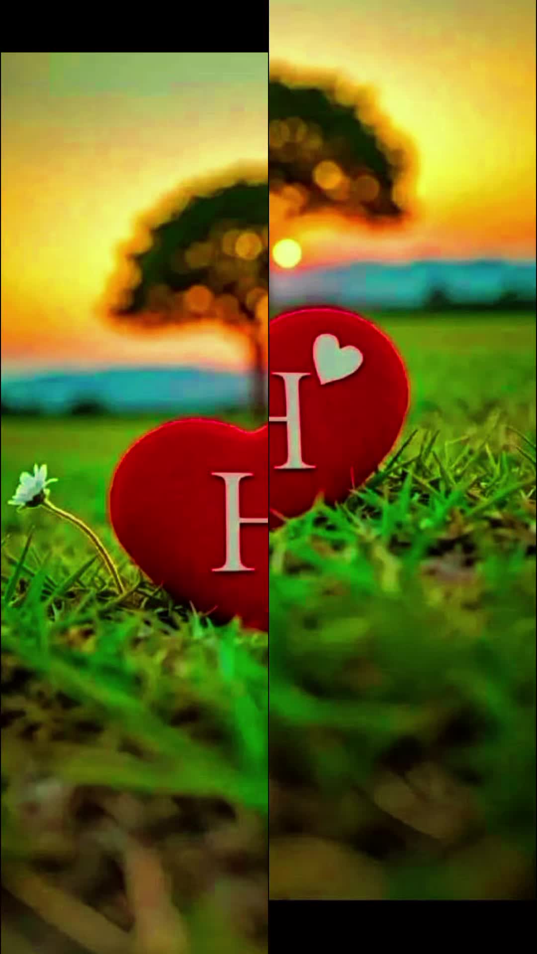 @&rdquo;🍁𝗦𝕋𝗔 𝗟𝔼𝗪𝗔ℕ𝗬 🍁&rdquo;