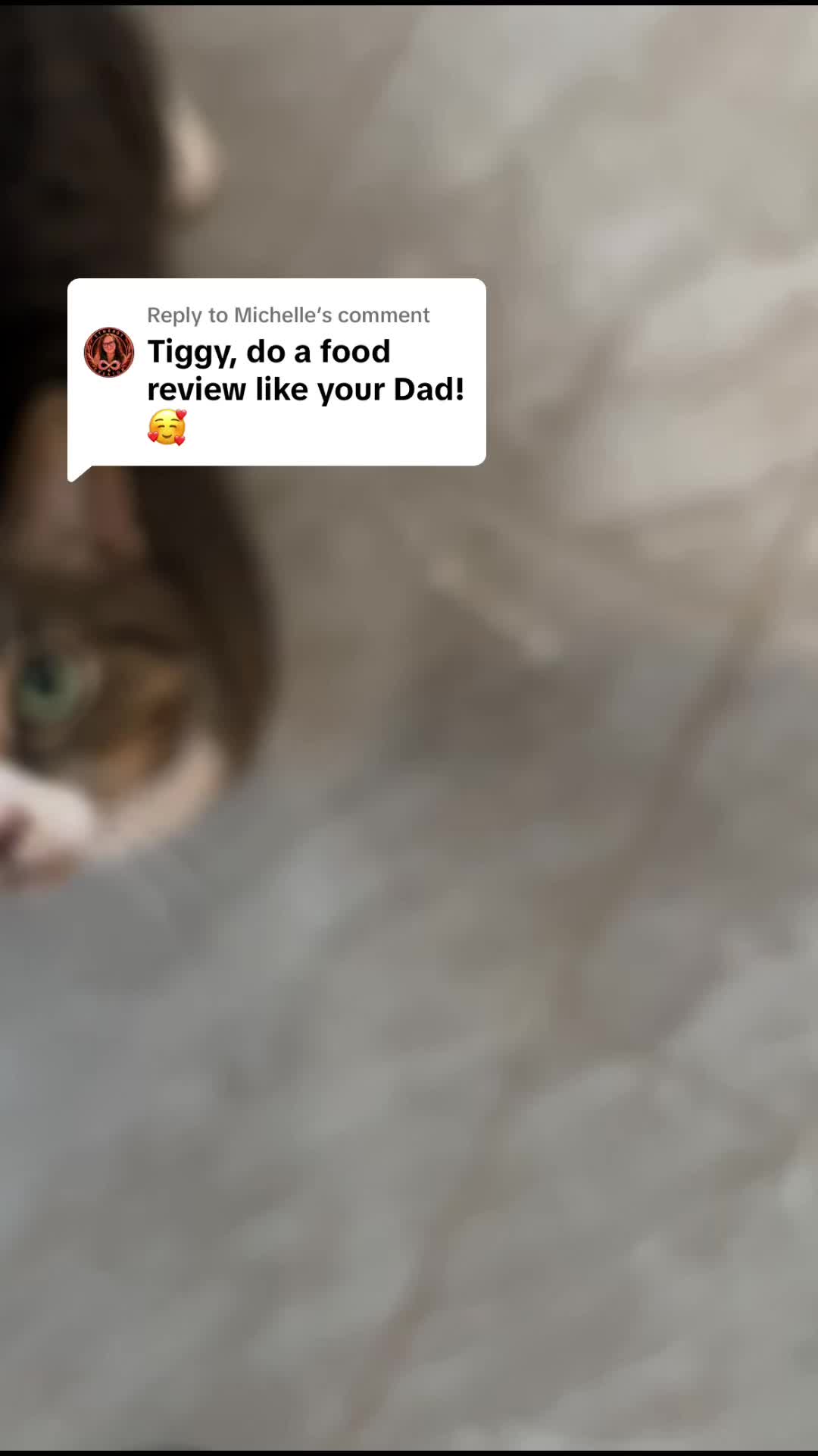 @Tiggy